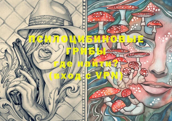 эйфоретик Кукмор