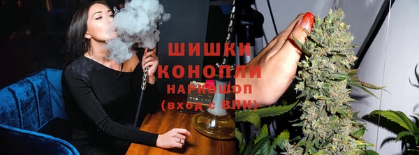 мдпв Корсаков